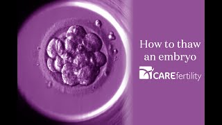 Thawing an embryo in the lab  Care Fertility [upl. by Saisoj]