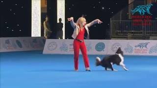 FCI Dog dance World Championship 2016 – Winner freestyle  Yvonne Belin and Alice Switzerland [upl. by Eneja]