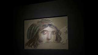 Zeugma Mosaics Museum 202406 [upl. by Anirbus993]