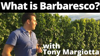 What Is Barbaresco Wine [upl. by Pudens]