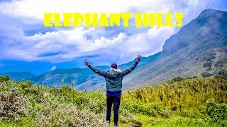 CLIMBING ELEPHANT HILLS  Aberdare Ranges  HIKING TIPS  Camping Travel Vlog [upl. by Ettezyl]