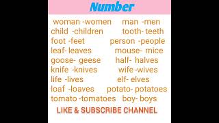 singular and plural number examples English grammar topics [upl. by Tterab606]