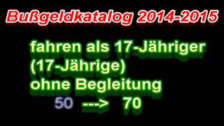 Bußgeldkatalog 20142015 [upl. by Milda]