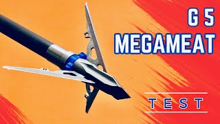 G5 MEGAMEAT 100 gr Broadhead Test [upl. by Ytteb]