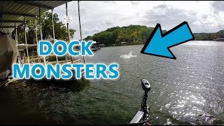 Catching HUGE Fish By DOCKS Lake Of The Ozarks [upl. by Basso884]