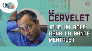 Le cervelet joue un rôle dans la santé mentale [upl. by Anuat]