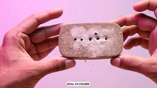 Concrete incense stick holder tutorial video  Amazing DIY ideas with cement [upl. by Theodora]