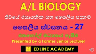 Ethanol Fermentation  Cellular Respiration  27 Advanced Level Biology Sinhala lessons [upl. by Barnes]