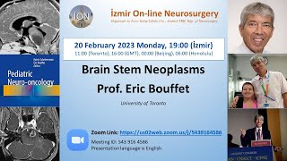 İON 322 Lecture Bouffet Paediatric Brainstem Tumours 20 0223 [upl. by Brigit]