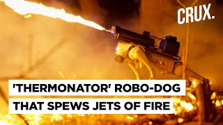 10K Robot Dog That Fires 30Foot Flames Hits US Markets  ‘Thermonator’ Aimed At Wildfire Control [upl. by Nyrehtak746]