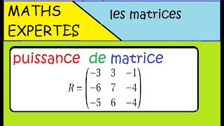 Terminale Maths Expertes Les matrices  exercice  puissance dune matrice [upl. by Col]