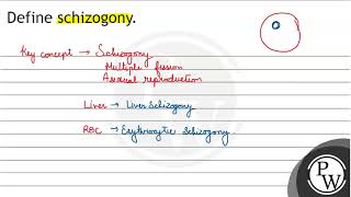 Define schizogony [upl. by Nerrat]