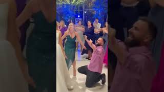 Albanian Wedding  Albanian Dance [upl. by Earaj]