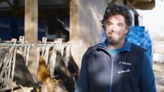 DeLaval Optimat Master  The automatic feeding system  Joyeux France [upl. by Negah]