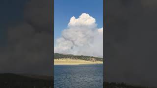 Horse Gulch Fire burning over 600 acres [upl. by Naujd]