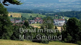 Beinwil im Freiamt  Mini Gmeind [upl. by Ayikan]