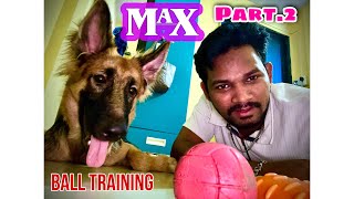 Part 2 🔥 Max Ball Training  Dog Ball Training  Dog Training  Dog Video [upl. by Strawn]