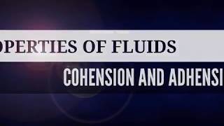 Properties of fluids cohesion and adhesion [upl. by Eilyw]