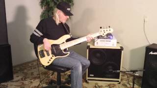 Avatar B212 Bass Guitar Speaker Cabinet Demo Eminence Delta 12 LF [upl. by Aley88]