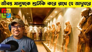 পৃথিবীর সবচেয়ে অদ্ভুত কিছু জাদুঘর। Most Weird Museum Taza News Facts [upl. by Bullough88]