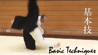 Aikido Basic Techniques  Katatedori amp Shomenuchi [upl. by Annawahs]