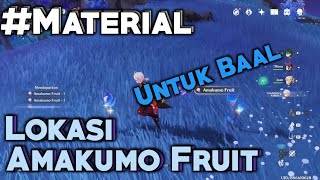 Lokasi Amakumo fruit  Material Baal  Genshin impact [upl. by Zebe]