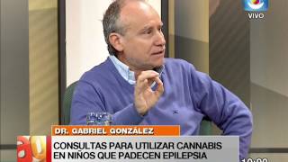 Entrevista  Dr Gabriel González  Neuropediatra  Utilización de aceite de cannabis en niños [upl. by Dyche456]