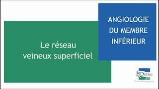 Angiologie du membre inférieur Le réseau veineux superficiel [upl. by Nedearb]