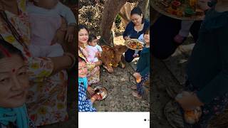 Gau Puja cow festival shortvideo shortshorts shorts twinbabys babytwins minivlog happydiwali [upl. by Onairpic]