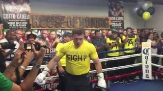 Canelo Alvarez SPEED amp POWER [upl. by Jamin]