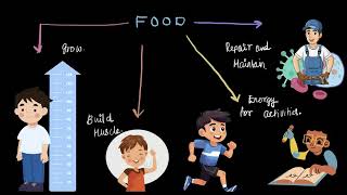 Introduction to Nutrients  Middle School Science  Khan Academy [upl. by Taddeo]