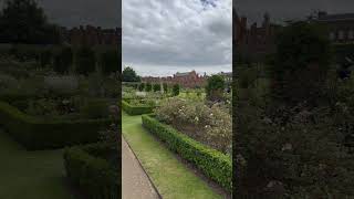 Hampton Court Gardens gardens beautifuldestinations beautiful hamptoncourtpalace [upl. by Nnaeiluj]