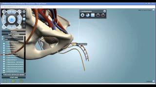 Urinary System  Interactive 3D Anatomy  Anatronica [upl. by Gnoz]