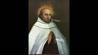 St John of the Cross 24 November Trust God Even When We Dont Understand Why [upl. by Mel187]