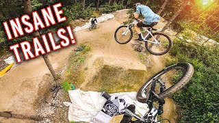 INSANE DIRTJUMP TRAILS Innsbruck Dirtpark [upl. by Neerod165]