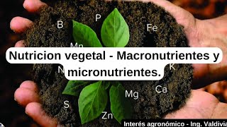 Nutrición vegetal Macronutrientes y micronutrientes en las plantas 👨🏻‍🌾🌱 [upl. by Aciretehs]