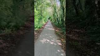 Cycling track at LouvainlaNeuve cycling louvainlaneuve nature belgium europe shorts [upl. by Atoiganap]