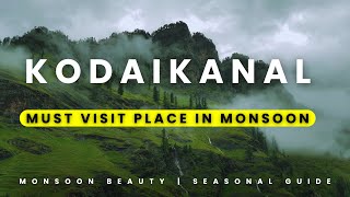 kodaikanal  Best time to visit kodaikanal  kodaikanal Seasonal Guide [upl. by Nosoj41]