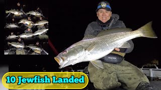 Epic Solo JEWFISHMULLOWAY lure fishing session [upl. by Black]