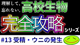 13 受精・ウニの発生（先体反応、表層反応、多精拒否、受精電位、卵割、割球、桑実胚、胞胚、原腸胚、一次間充織、プリズム幼生、プルテウス幼生） 高校生物 受験 [upl. by Odraner]