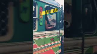 Lalai Mera ji aaye  youtubeshorts ytstudio ytshorts shortsvideo [upl. by Chrissa]