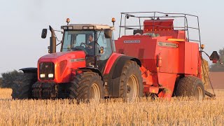 Massey Ferguson 8280 baling w Massey Ferguson 190 Baler behind  Harvest Season 2021 [upl. by Wylma]