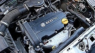 Vauxhall  Opel Corsa C 12L Petrol Startup and Idle Z12XE HD [upl. by Semaj136]