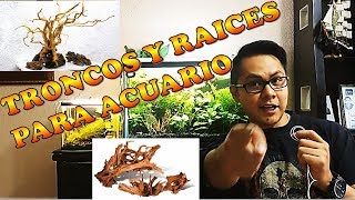 Troncos para Acuario  cuales si y cuales no  como curarlos [upl. by Esirtal103]