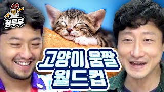 귀여운 고양이 움짤 월드컵 with 심윤수 [upl. by Dlaniger]