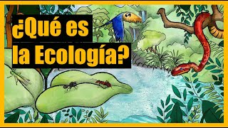 ¿Qué es la Ecología [upl. by Barney]