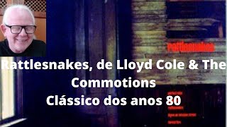 Crítica do álbum Rattlesnakes 1984 de Lloyd Cole amp The Commotions [upl. by Iramaj414]