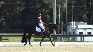 First Impression and Marsha Hartford Sapp L11 at Wellington Classic Dressage at Florida Horse Park [upl. by Nahtannhoj549]