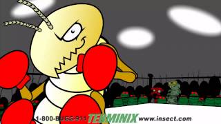 2014 Terminix Boxing Termite Ad [upl. by Pallua]