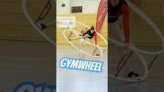 Bavarian Championships 2024 in gymwheel Johanna Bischof sports gym acrobatics [upl. by Nosmoht]